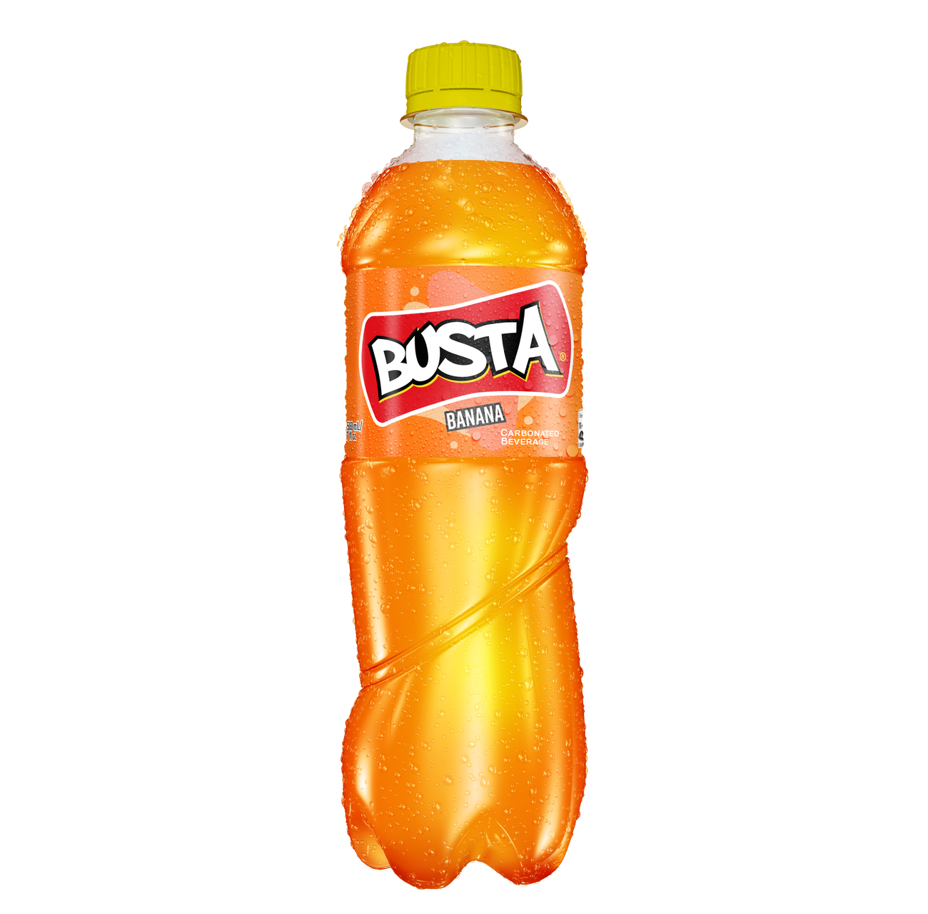 Busta